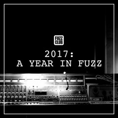 2017: A Year In Fuzz