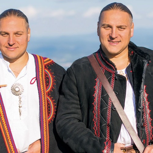 BRACIA PIERDOLEC ŚCIERNISCO