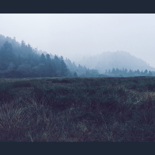 Feeling Of Relief (Ft. Nawid Salimkhani)