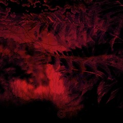 MRTRY - NAUSEA (Daniel Ruane Remix)