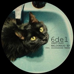 gato negro