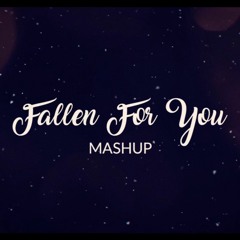 Fallen For You Mashup