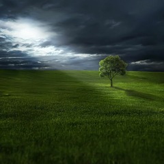 Purity 2 | Minimal Music, Piano, Serene, Calm, Peaceful, Underscoring, Angelic, Divine, Sacred