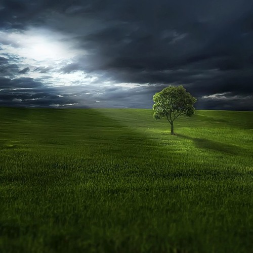 Purity 2 | Minimal Music, Piano, Serene, Calm, Peaceful, Underscoring, Angelic, Divine, Sacred