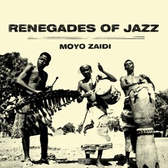 Renegades Of Jazz - Afro Cookie (Chris Read's Afro Concrete Mix) [Snippet]