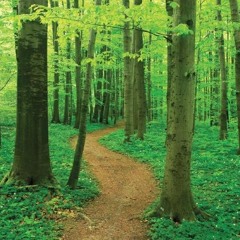 Walk To Zion