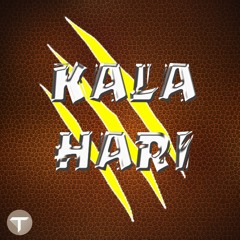 Kalahari Instrumental Prod. Tienre