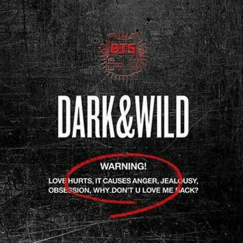 [FULL] BTS (방탄소년단) - Dark & Wild Full Album.mp3