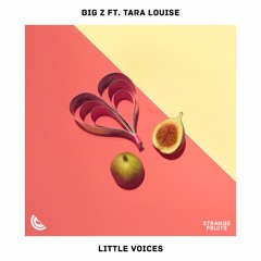 Big Z - Little Voices (ft. Tara Louise)