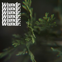 Pine Tree- Wundr.