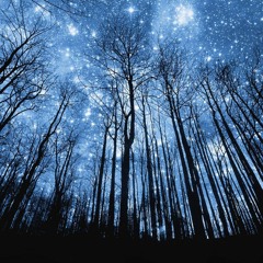 Starlight