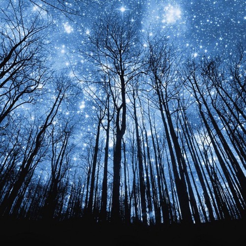 Starlight