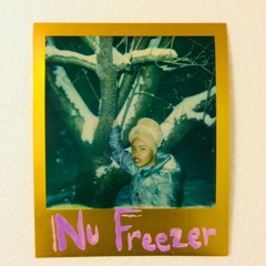 Nu Freezer