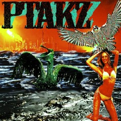 PTAKZ - Rozcesti -  INSTRUMENTAL (by Qbeat feat Edosh)