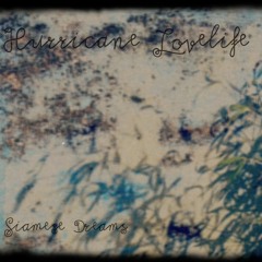 Hurricane Lovelife feat. JNY