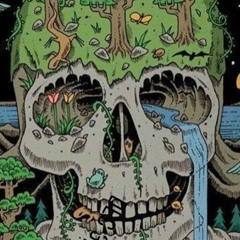 Lucid Dream