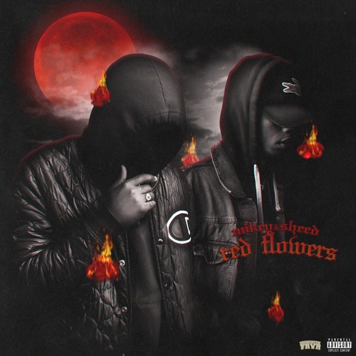 3. Mikey & Sheed - The Race