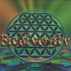 Amani Friend Biodiversity (1st Cd) 1998 - 02. Track 2