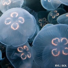 JUST DONT SAY | LOVE AFFAIR