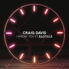 Craig David And Bastille - I Know You (Cover Rylixo)