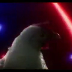 Techno chicken