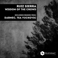 Ruiz Sierra - Wisdom Of The Crowd (Original Mix) [Telegenic Records]