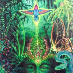 Cura Do Beija - Flor