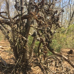 im tryna skate.freestyle.