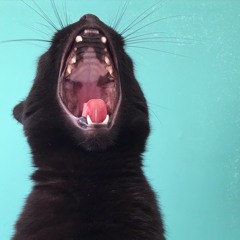 Last letter got under a blue car’s wheel (Last letter is the sixth letter - REMIX)