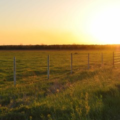 هجران (شعر و صدای هوشنگ ابتهاج- ه.ا.سایه). د