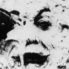 À propos de la nuit dernière