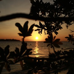 Selalu Cinta - Kotak (Cover)