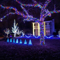 2013 Christmas Light Show  Music