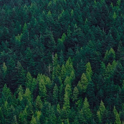 Cracks (Prod. McNiffy)