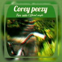 Coreey - P  Far Syde