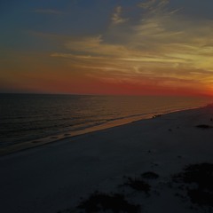 TLP # 11 W JOEY LIVINGSTON