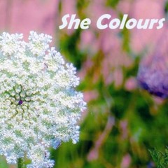 She Colours