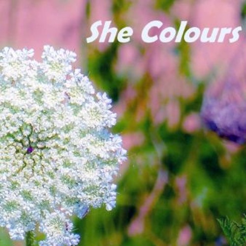 She Colours
