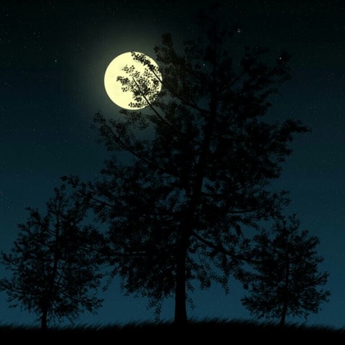 أَتَقْبَلُنِي؟