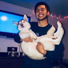 Halen live in the mix 004