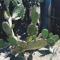 Soy Fluna - GreenLado (Beat/Prod@UniversalBeats) Lyrics in description