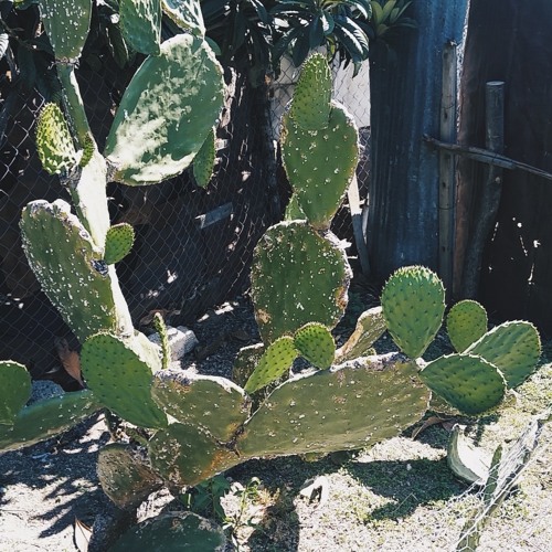 Soy Fluna - GreenLado (Beat/Prod@UniversalBeats) Lyrics in description