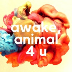 awake, animal 4 u