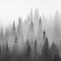 two feet - go fuck yourself vs. sober rob - salt (good good mashup)