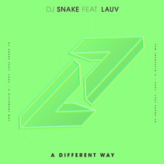 DJ Snake -  A Different Way (Slavly Remix)