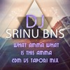 What Amma What Is This Amma-( Edm Vs Tapori )-Dj Srinu Bns