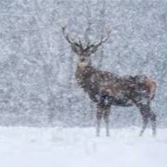 Snow - L to the EO