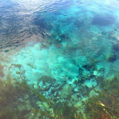 Pretty Gritty #19: Glistening