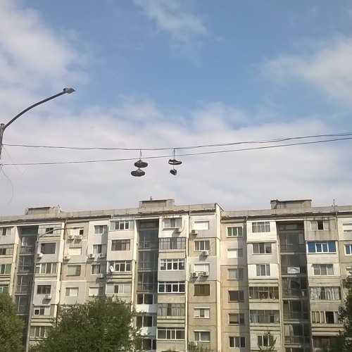3+1 (c Faulen и СОРТ)