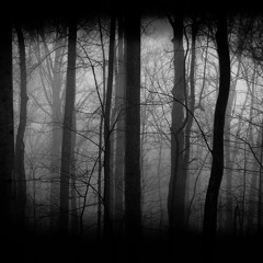 EarthWalker b2b Matt Baca